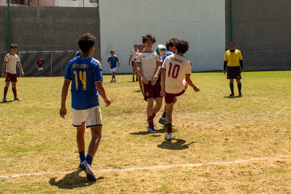 Ir a la Siguiente Foto