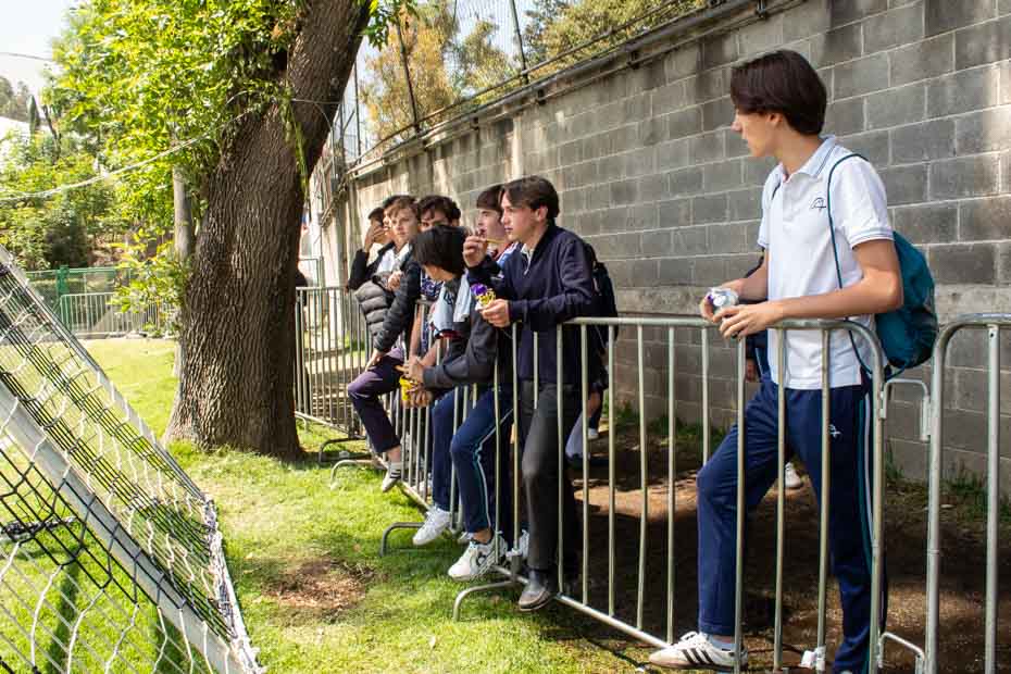 Ir a la Siguiente Foto