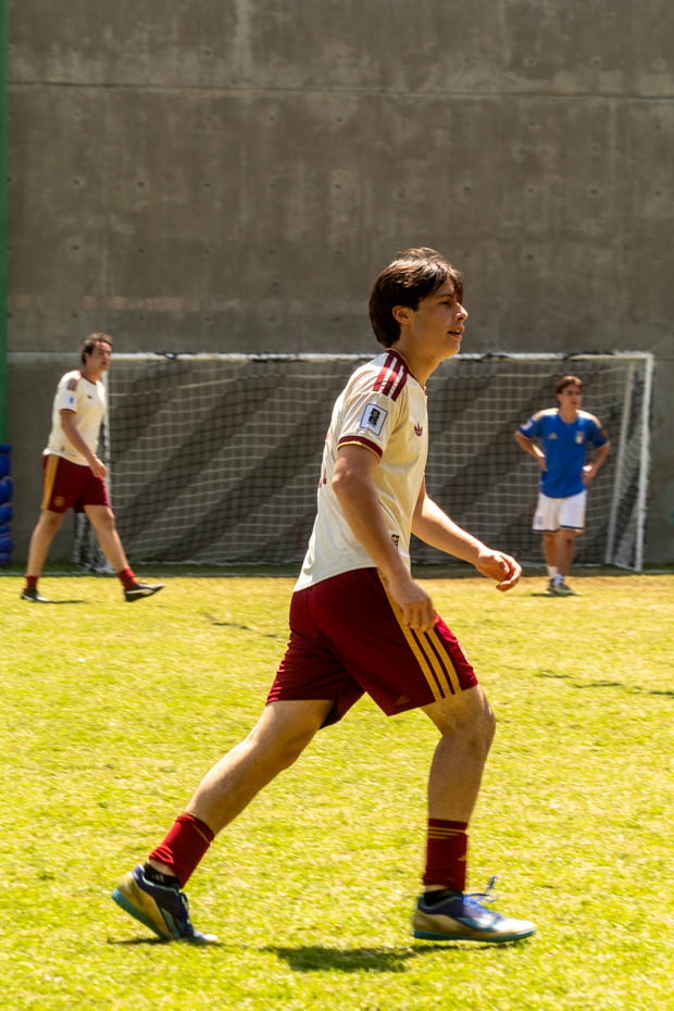 Ir a la Siguiente Foto