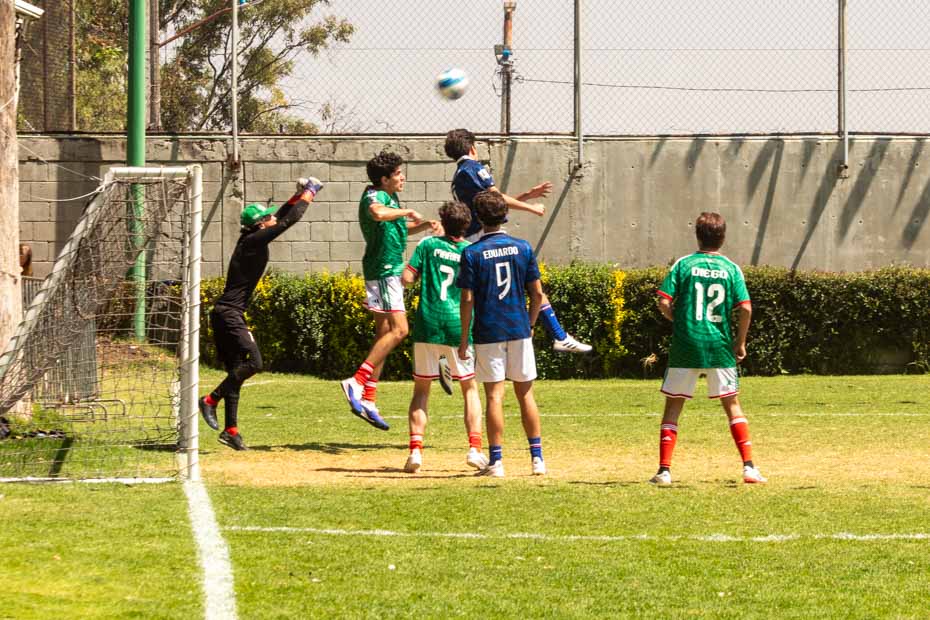 Ir a la Siguiente Foto