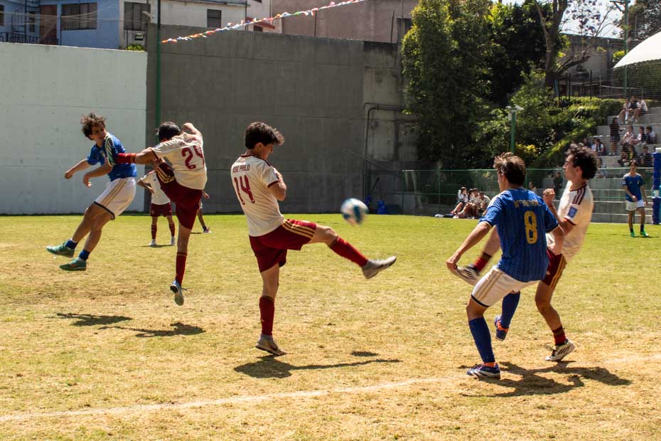 Ir a la Siguiente Foto