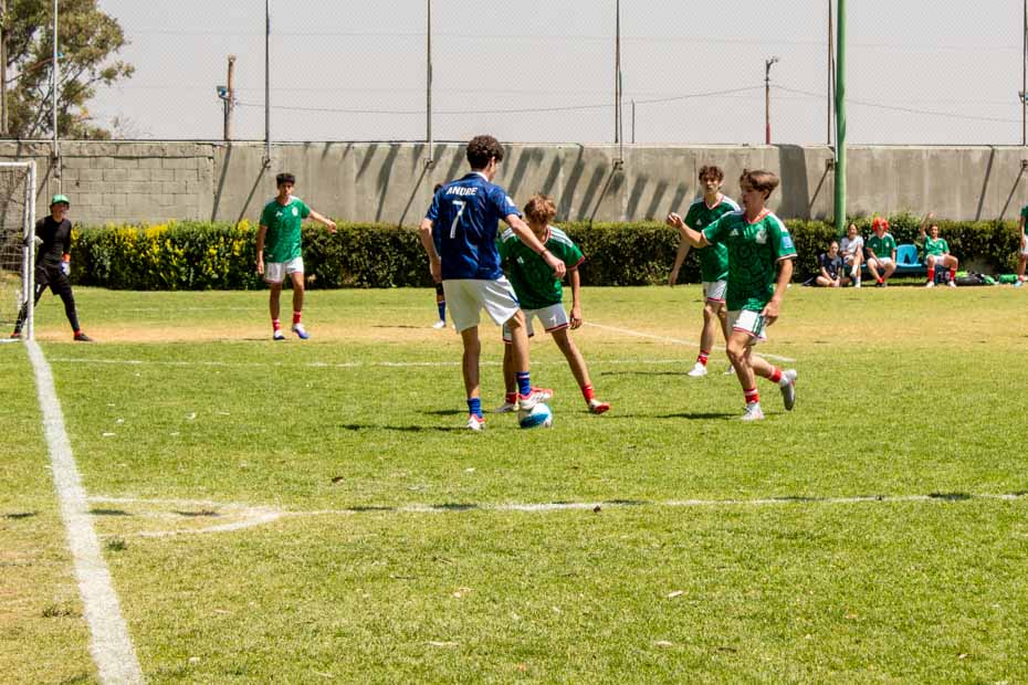 Ir a la Siguiente Foto