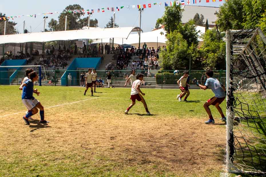 Ir a la Siguiente Foto