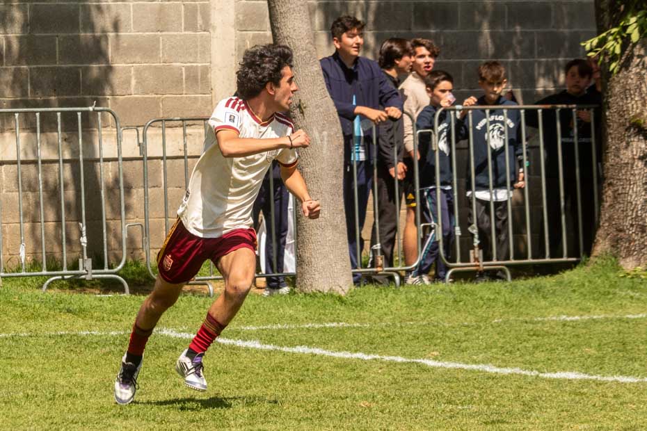 Ir a la Siguiente Foto