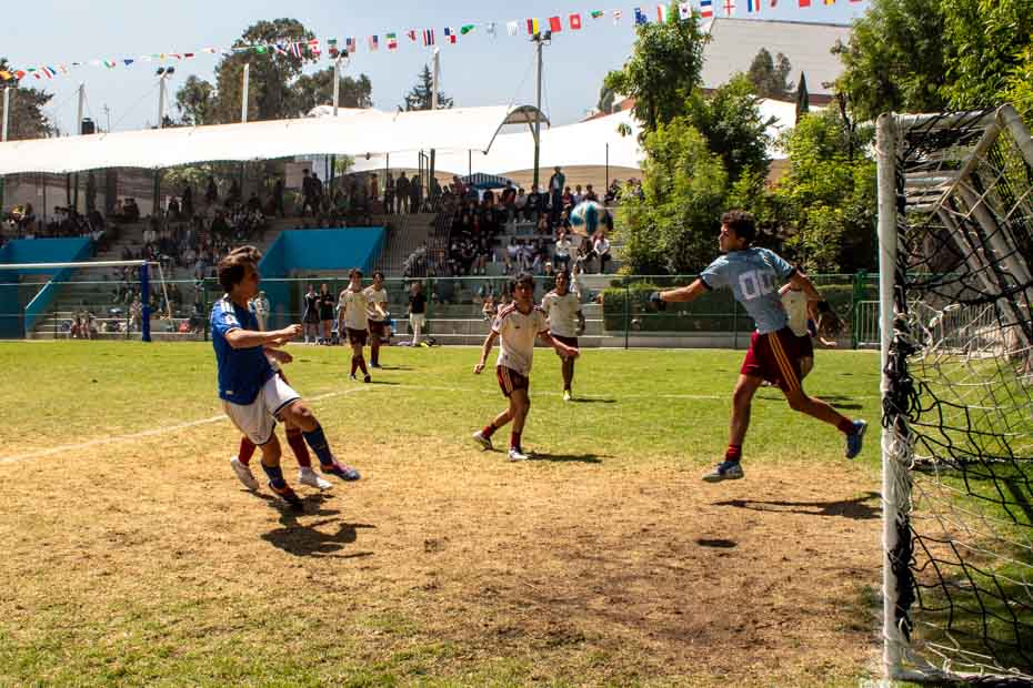 Ir a la Siguiente Foto