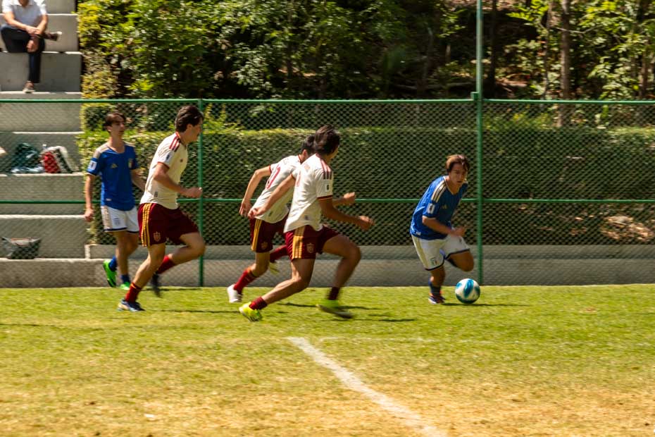 Ir a la Siguiente Foto