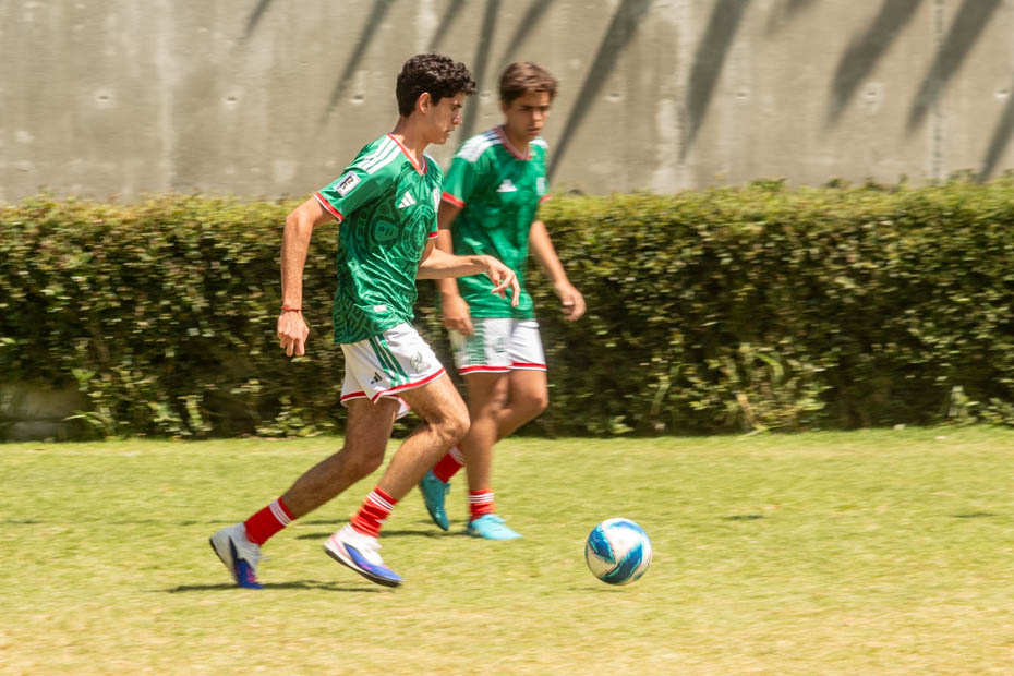 Ir a la Siguiente Foto