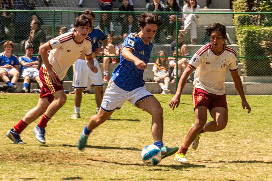 Ir a la Siguiente Foto