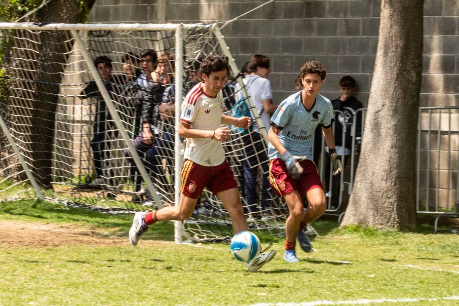 Ir a la Siguiente Foto