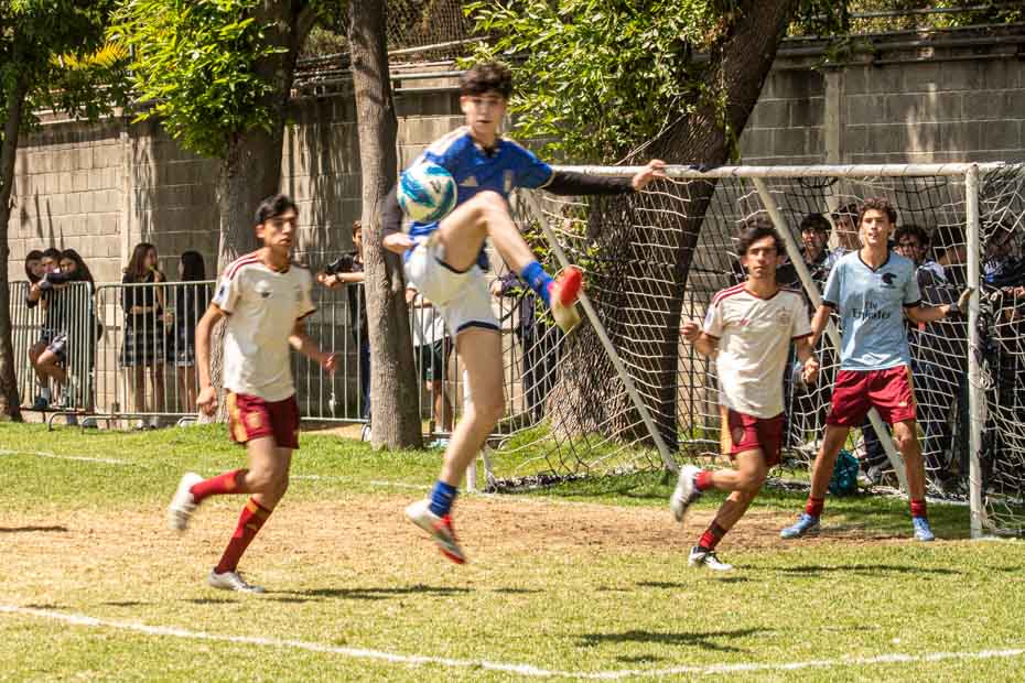 Ir a la Siguiente Foto