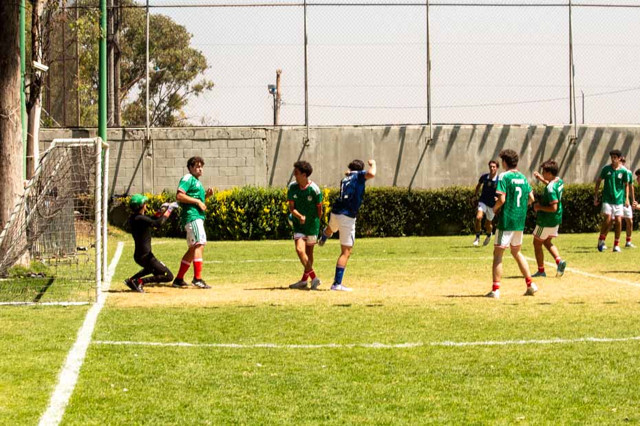 Ir a la Siguiente Foto