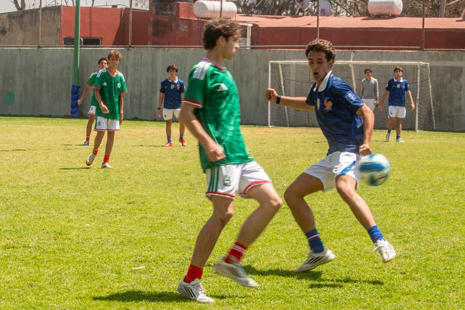 Ir a la Siguiente Foto