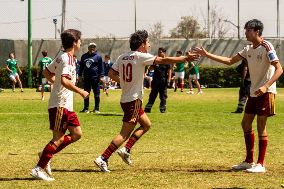 Ir a la Siguiente Foto