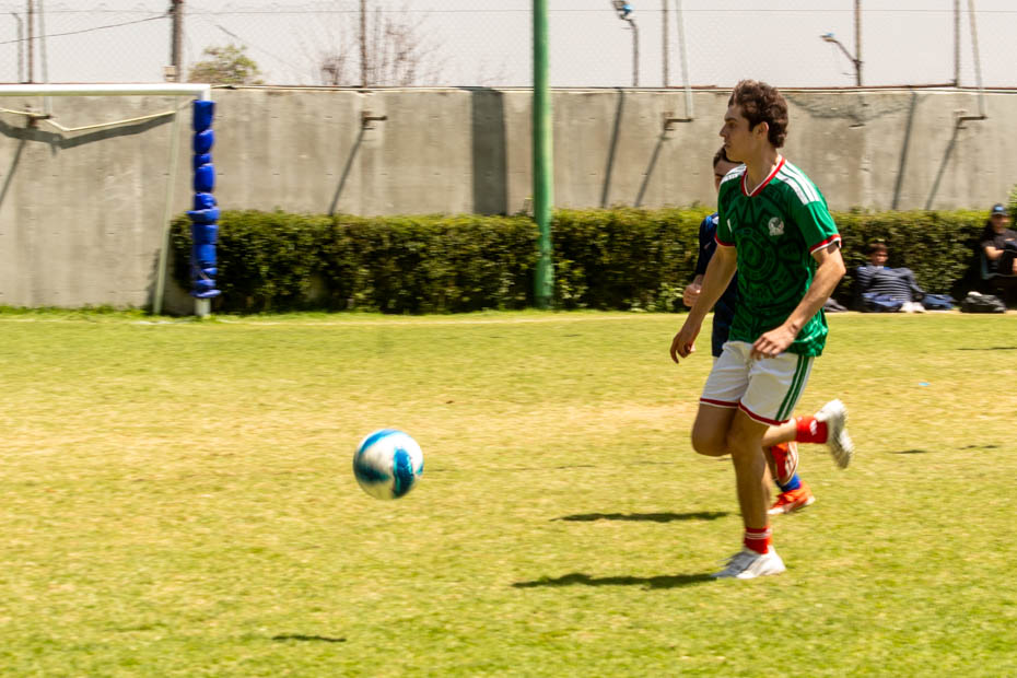 Ir a la Siguiente Foto