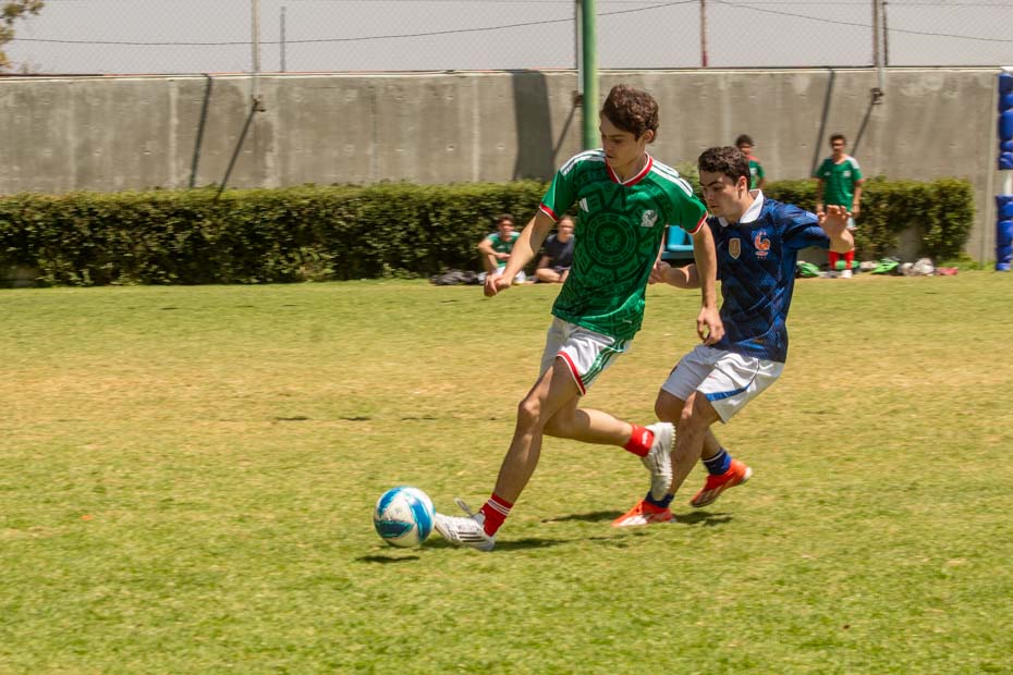 Ir a la Siguiente Foto