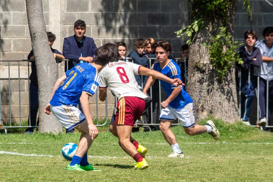 Ir a la Siguiente Foto