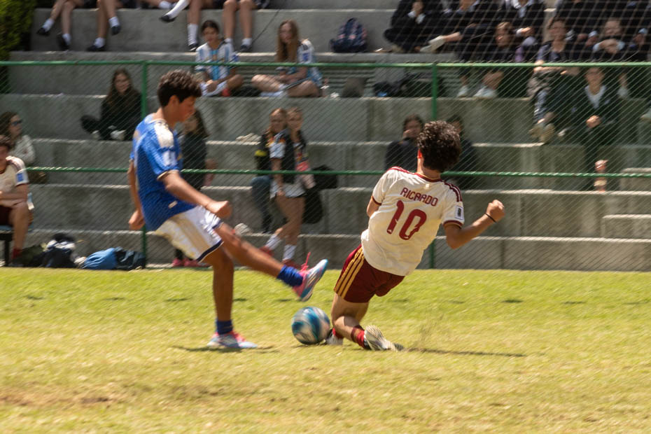 Ir a la Siguiente Foto