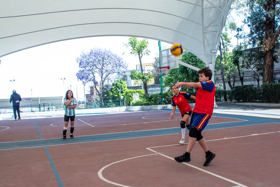 Ir a la Siguiente Foto