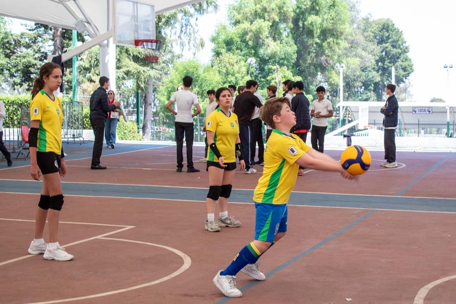 Ir a la Siguiente Foto