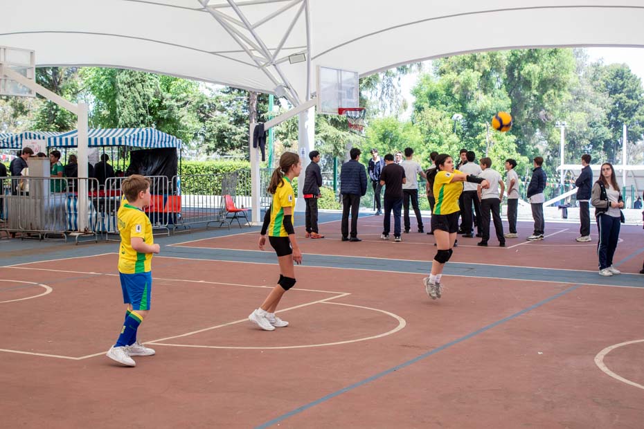 Ir a la Siguiente Foto