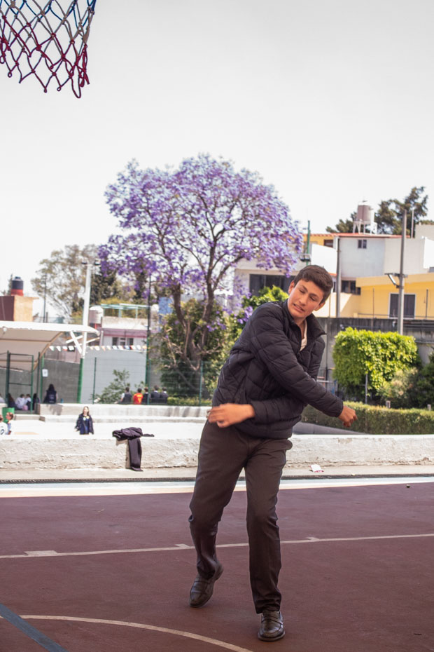 Ir a la Siguiente Foto