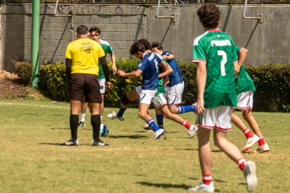 Ir a la Siguiente Foto