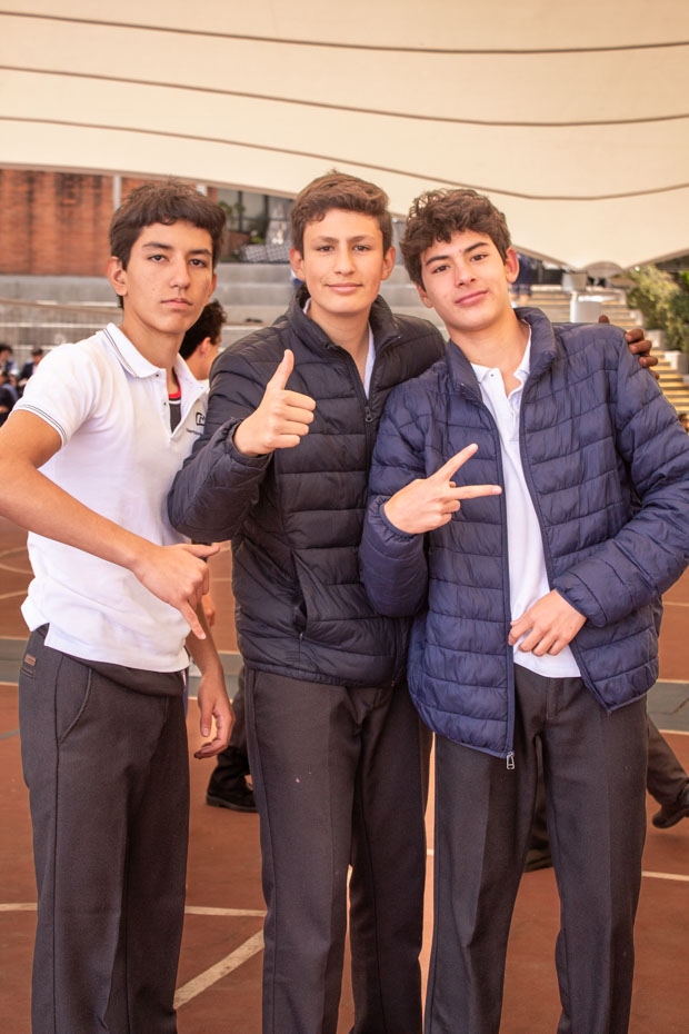 Ir a la Siguiente Foto