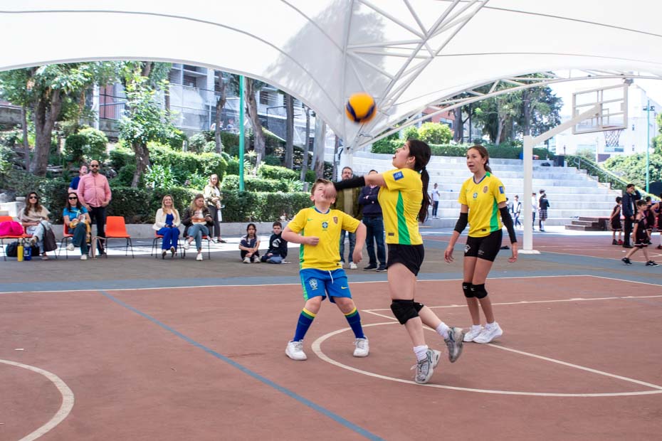 Ir a la Siguiente Foto