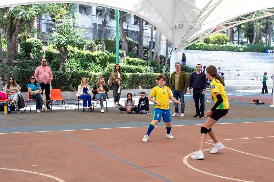 Ir a la Siguiente Foto