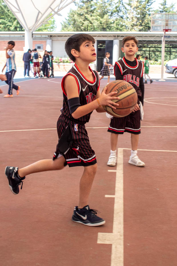 Ir a la Siguiente Foto