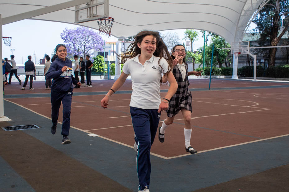 Ir a la Siguiente Foto