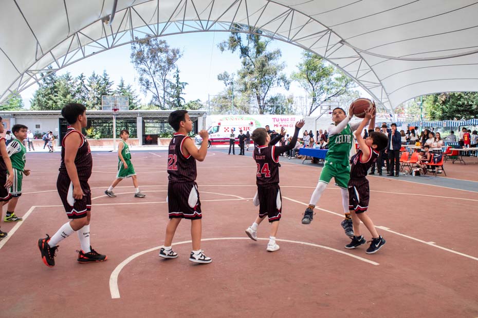 Ir a la Siguiente Foto