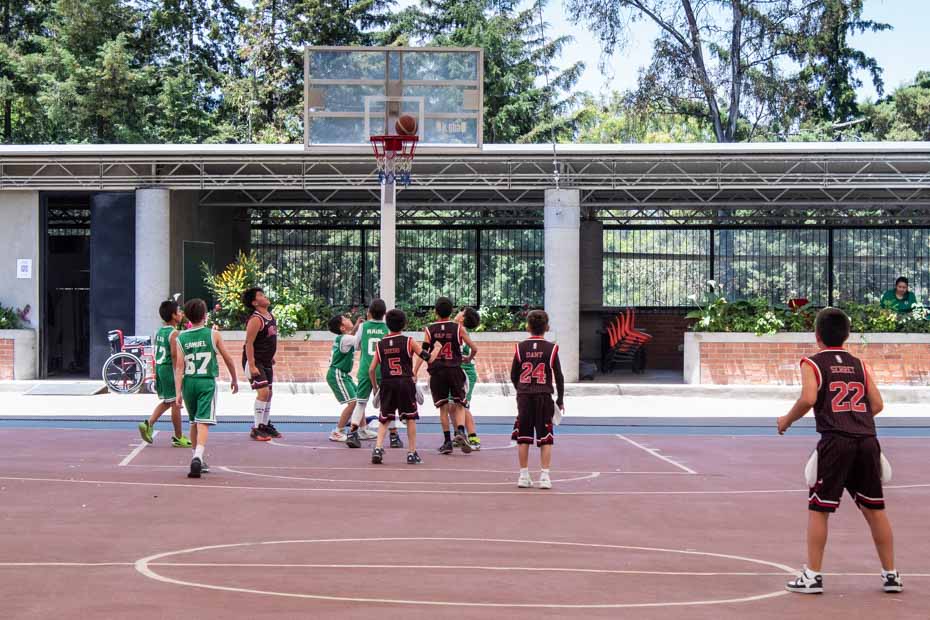 Ir a la Siguiente Foto