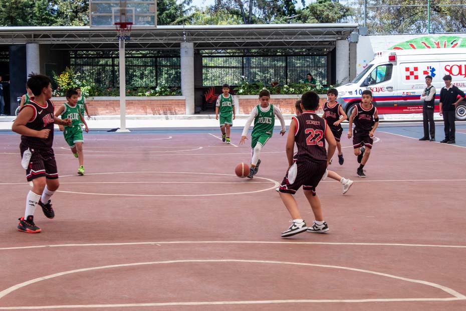 Ir a la Siguiente Foto