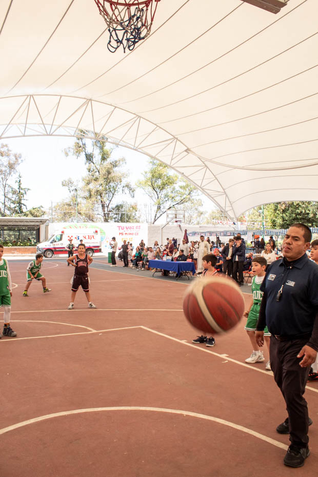 Ir a la Siguiente Foto