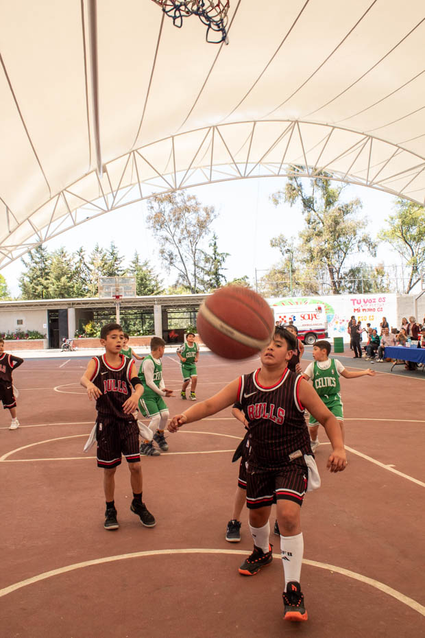 Ir a la Siguiente Foto