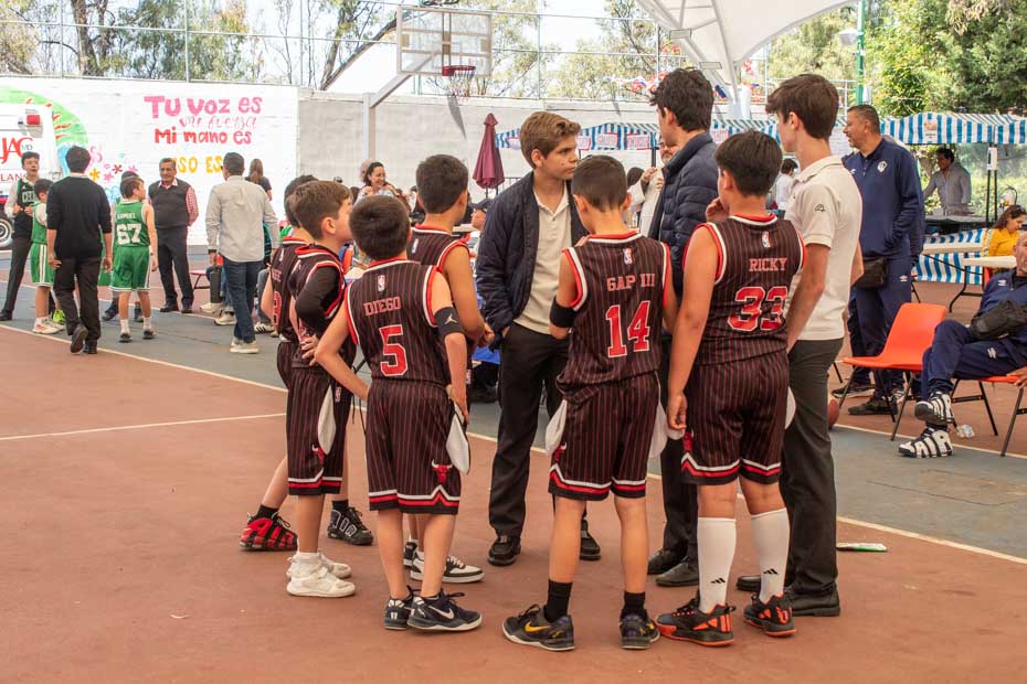 Ir a la Siguiente Foto