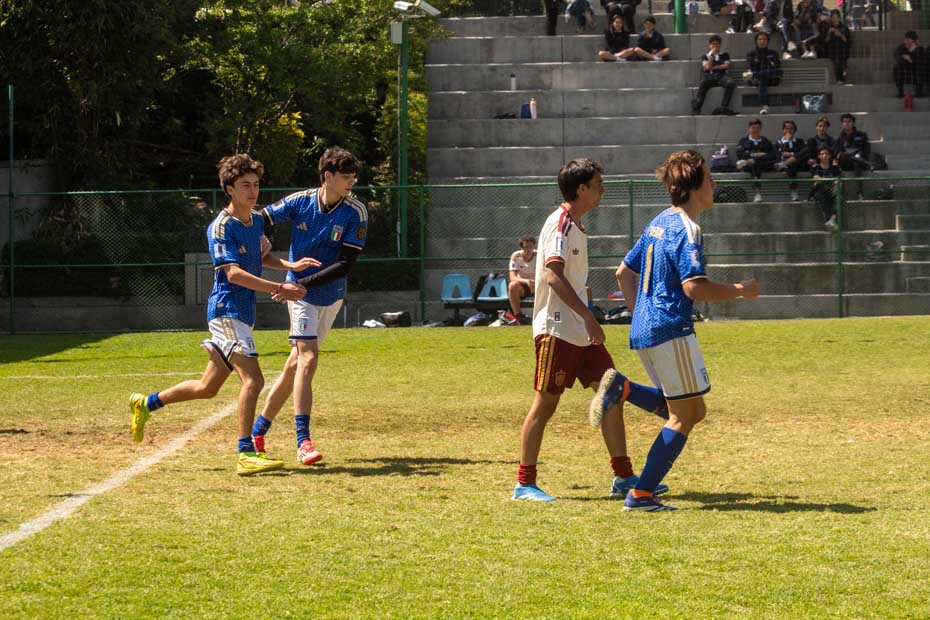 Ir a la Siguiente Foto