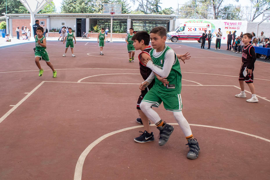 Ir a la Siguiente Foto