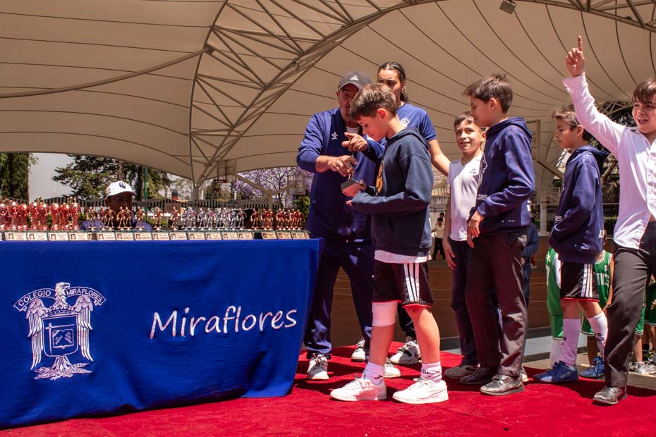 Ir a la Siguiente Foto