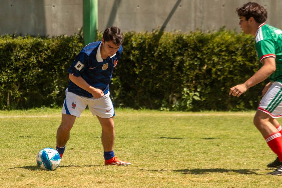 Ir a la Siguiente Foto