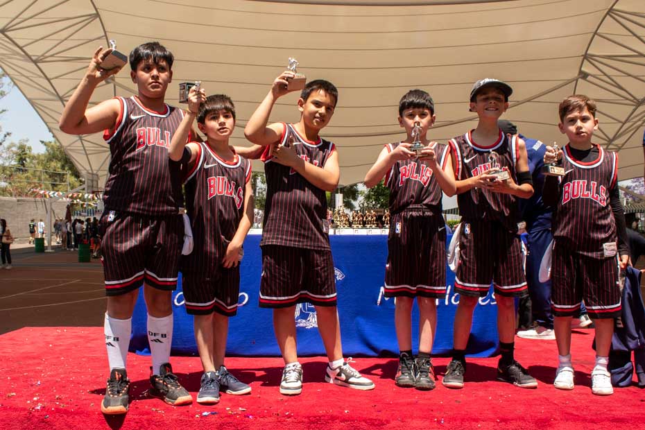 Ir a la Siguiente Foto