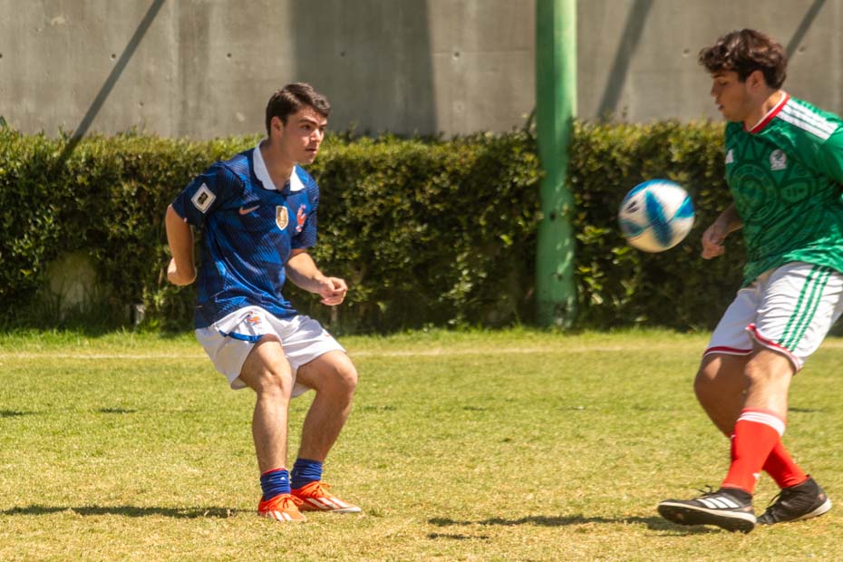 Ir a la Siguiente Foto