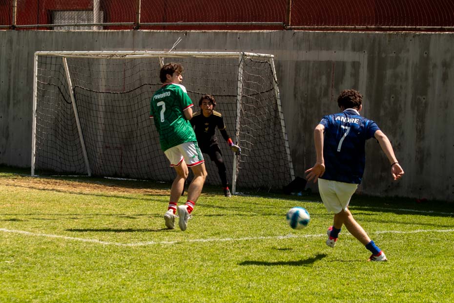 Ir a la Siguiente Foto