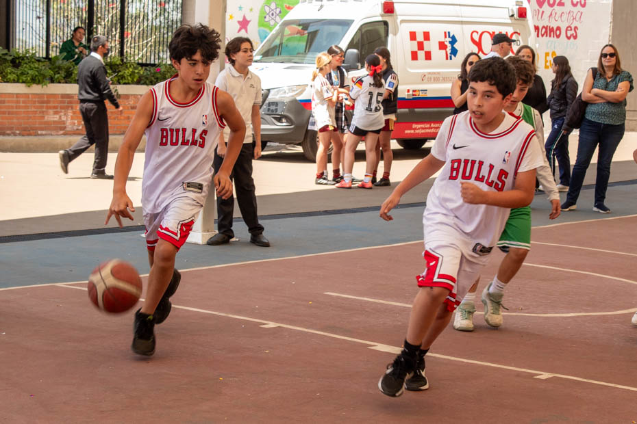 Ir a la Siguiente Foto