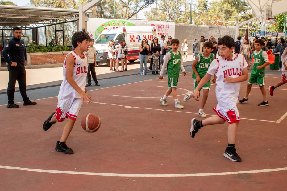 Ir a la Siguiente Foto