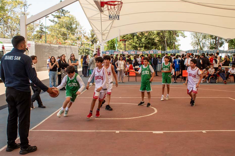 Ir a la Siguiente Foto