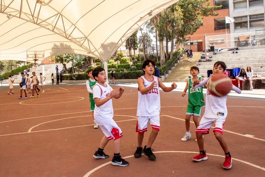 Ir a la Siguiente Foto