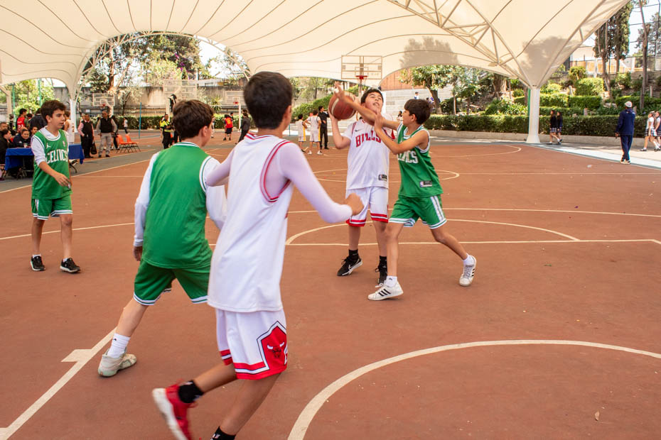 Ir a la Siguiente Foto