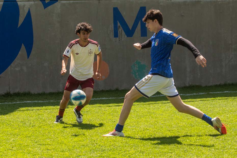 Ir a la Siguiente Foto